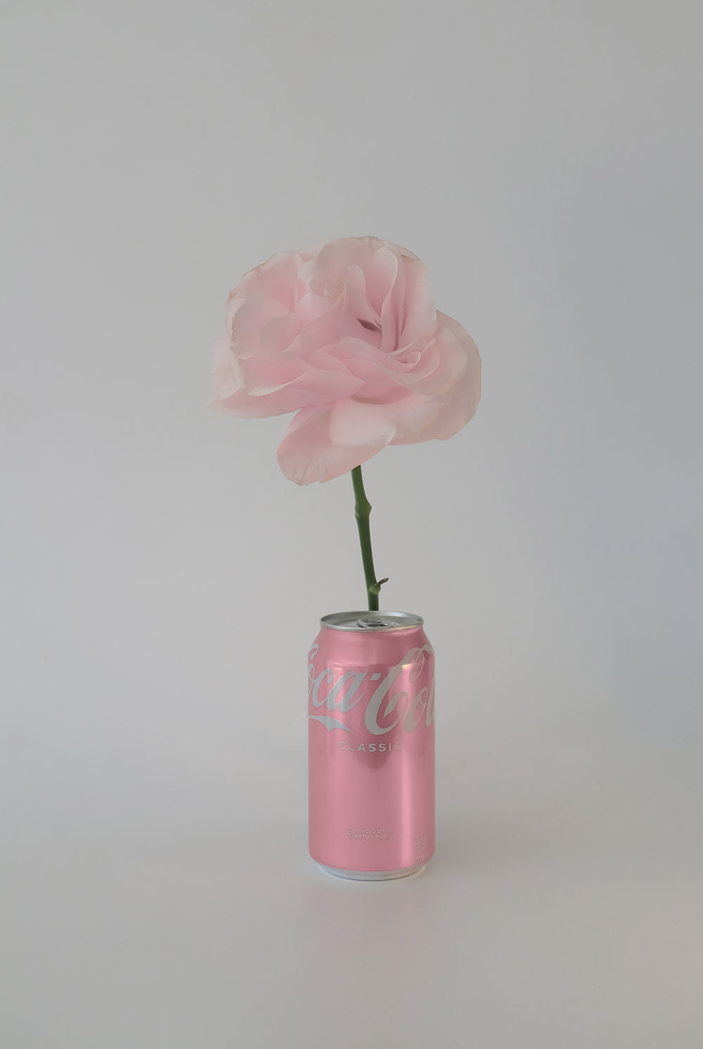 Coca Rosa